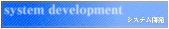 システム開発